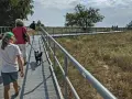 Spacer po ścieżce widokowej w otoczeniu przyrody. W oddali widać ludzi, a na pierwszym planie idzie dziewczynka z psem. To miejsce przypomina krajobraz z opowieści o kopcu Kaszubów.