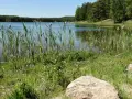 Spokojne jezioro Czarne na Kaszubach, otoczone trzcinami i lasem. Woda odbija błękitne niebo.