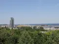 Widok na port w Gdyni z dominującym wieżowcem. W oddali morze, a na pierwszym planie zieleń drzew. Kamienna Góra w Gdyni oferuje takie panoramy.
