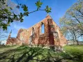 Ruiny ceglanego kościoła w Steblewie na tle błękitnego nieba. Wiosenne liście na gałęziach drzew dodają uroku tej historycznej budowli.