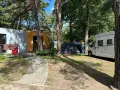 Na kempingu 45, wśród drzew, stoją nowoczesne domki, namioty i biała kamper.