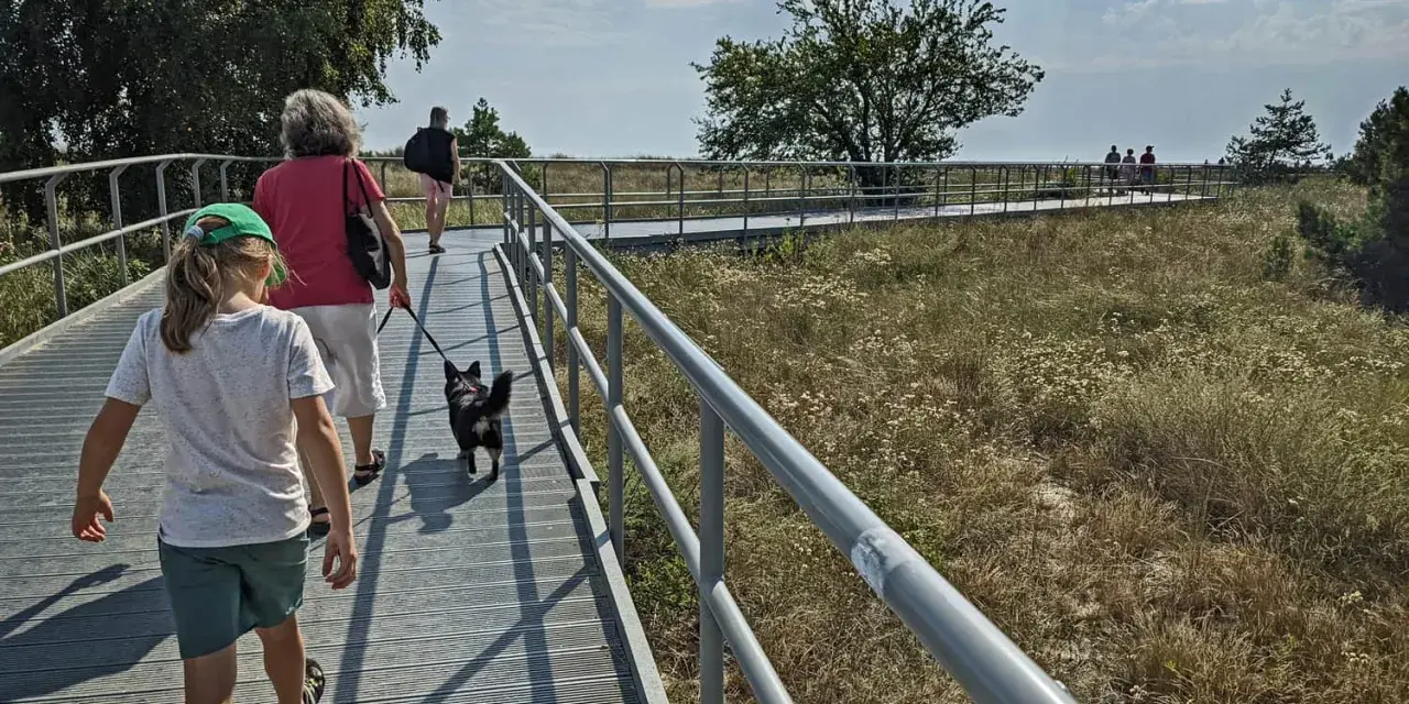 Spacer po ścieżce widokowej w otoczeniu przyrody. W oddali widać ludzi, a na pierwszym planie idzie dziewczynka z psem. To miejsce przypomina krajobraz z opowieści o kopcu Kaszubów.