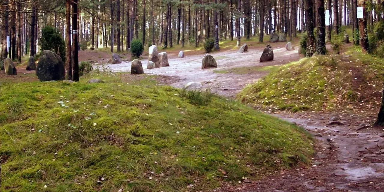 Kamienne kręgi Kaszuby, pradawne głazy w lesie, świadkowie historii.