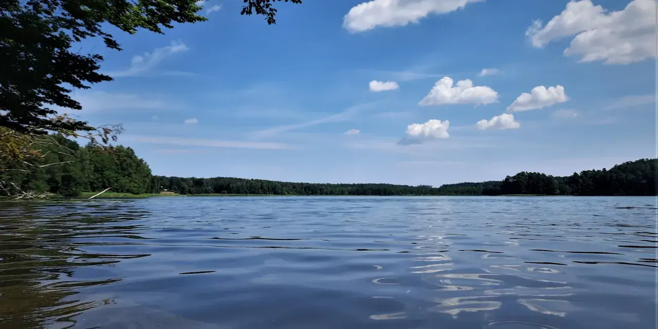 Spokojne jezioro Partęczyny z łagodnymi falami odbijającymi błękitne niebo i białe chmury. Lasy otaczają taflę wody.