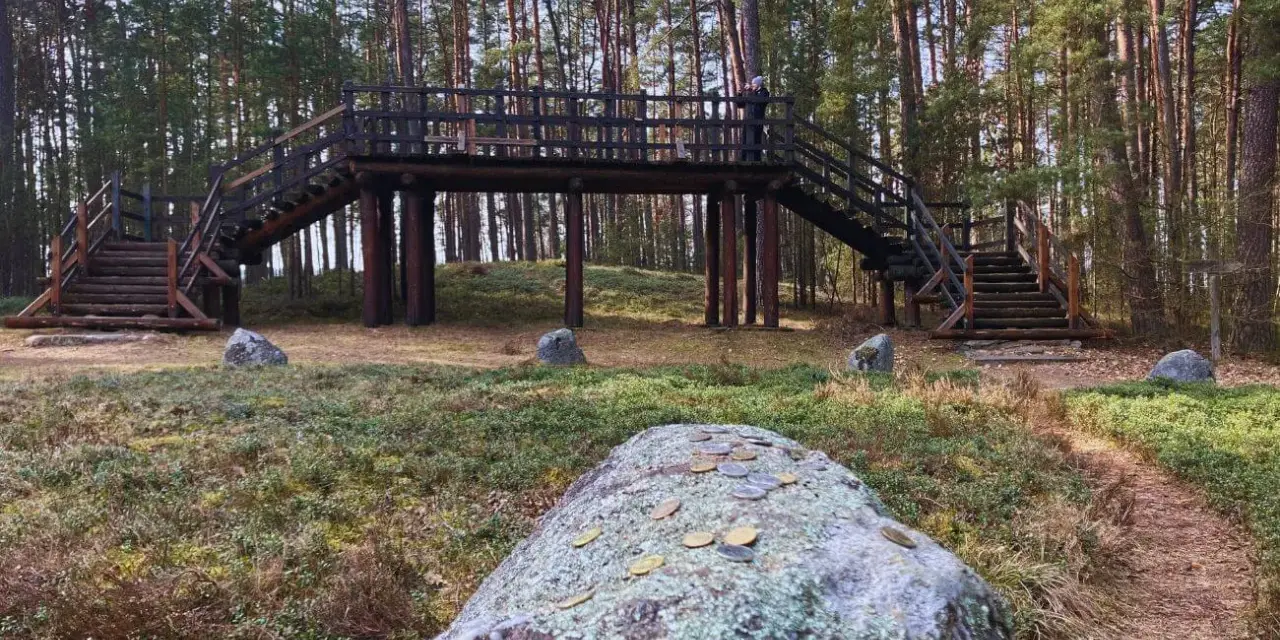 Kamienne kręgi w Odrach. Drewniana kładka nad leśnym wzgórzem, otoczona głazami i sosnami. Na pierwszym planie kamień z monetami.
