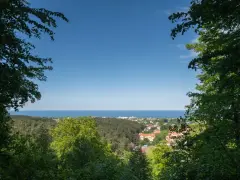 Widok z punkt widokowy Sopot na morze i miasto, otoczony zielenią drzew.