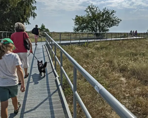 Spacer po ścieżce widokowej w otoczeniu przyrody. W oddali widać ludzi, a na pierwszym planie idzie dziewczynka z psem. To miejsce przypomina krajobraz z opowieści o kopcu Kaszubów.
