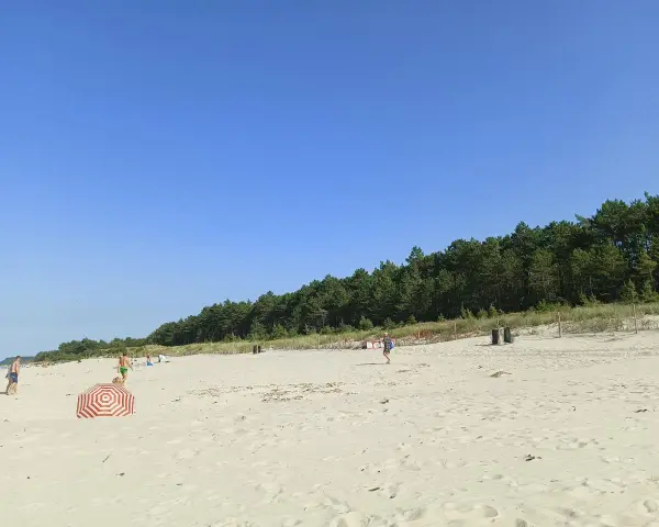 Słoneczny dzień na plaży w Karwi. Ludzie spacerują po piasku, w tle las.
