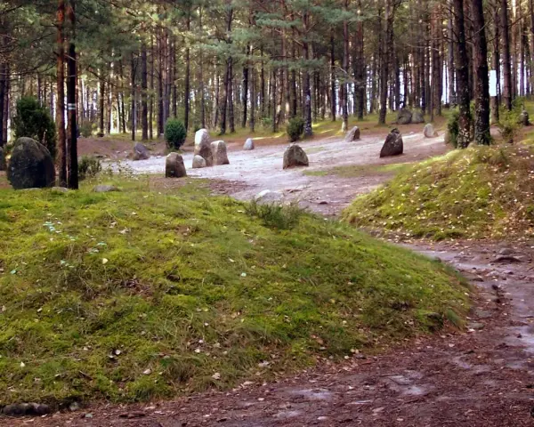 Kamienne kręgi Kaszuby, pradawne głazy w lesie, świadkowie historii.