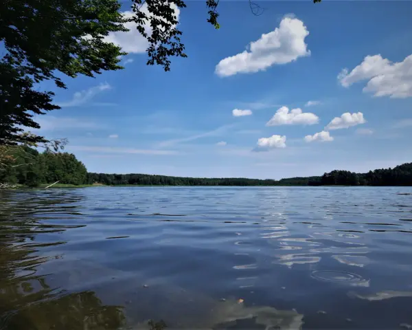 Spokojne jezioro Partęczyny z łagodnymi falami odbijającymi błękitne niebo i białe chmury. Lasy otaczają taflę wody.