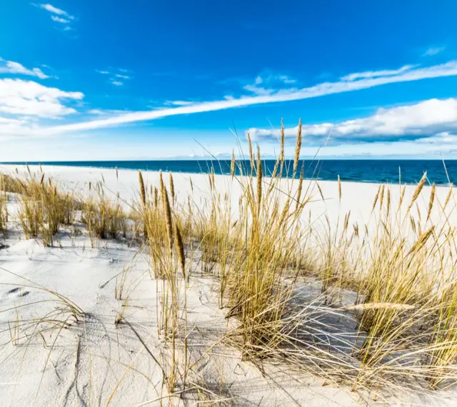 Piasek, trawy morskie i błękitne niebo nad Bałtykiem – to jedne z najpiękniejszych plaż w Polsce.