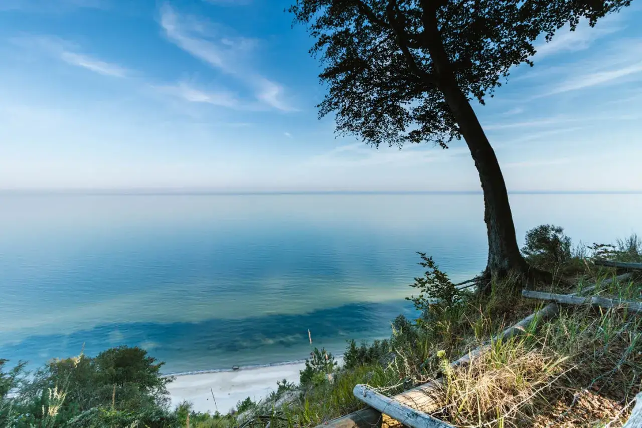 Widok na spokojne morze z klifu w Międzyzdrojach. Drzewo na pierwszym planie, plaża w oddali. Piękne międzyzdroje atrakcje przyrodnicze.