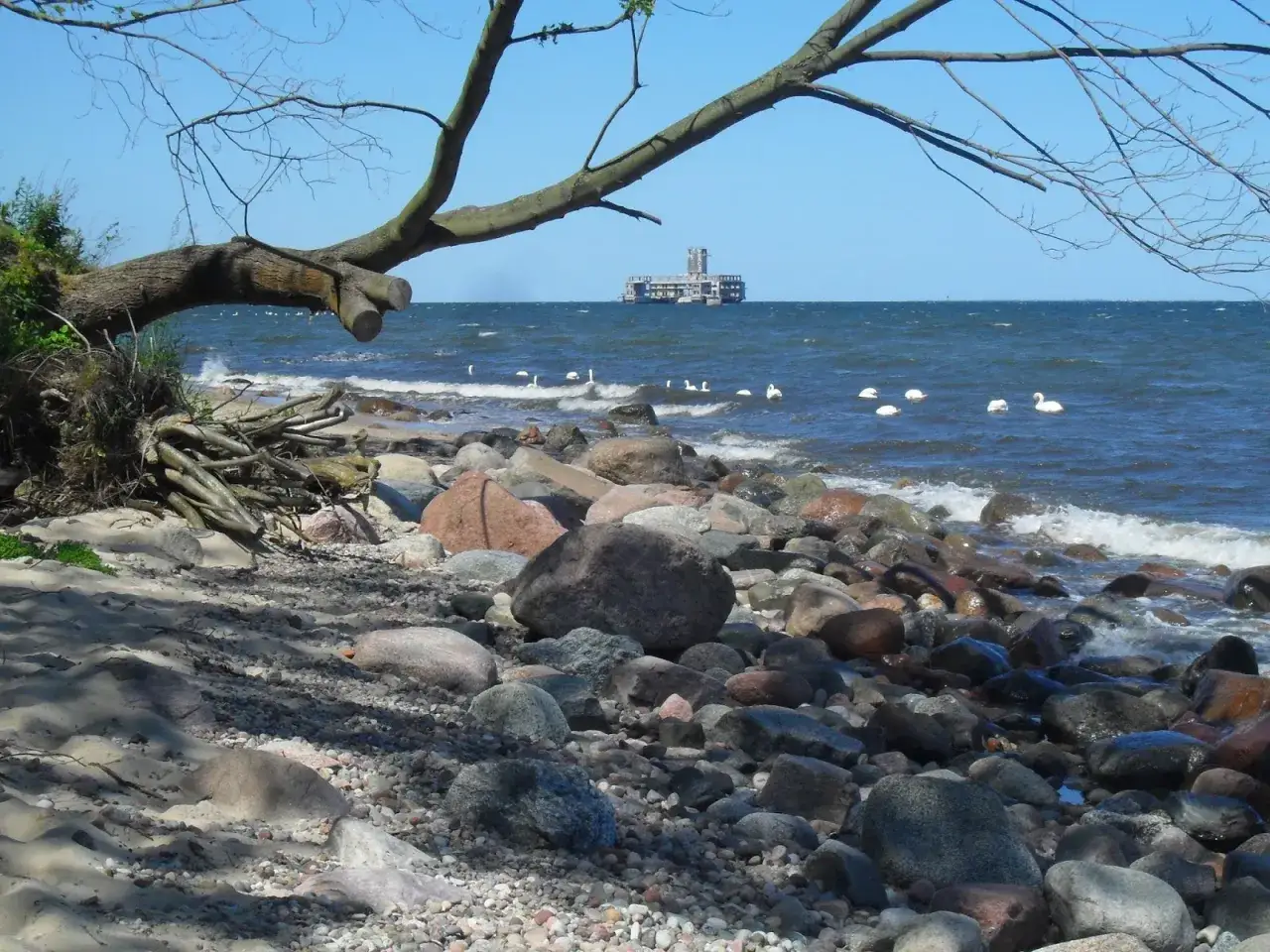 Kamienista plaża w Gdyni Oksywie, łabędzie na wzburzonym morzu i platforma widoczna w oddali.