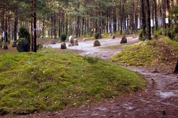 Kamienne kręgi Kaszuby, pradawne głazy w lesie, świadkowie historii.